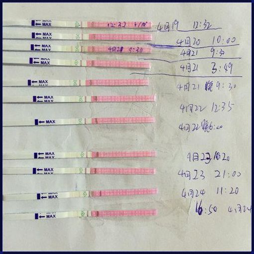 怎么样知道已经排卵了：探寻生育的奥秘