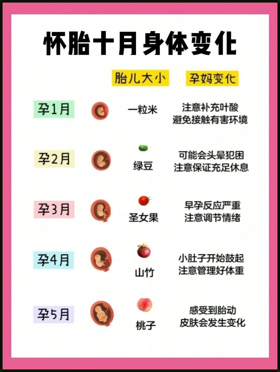 算胎儿大小的软件：科学孕育的得力助手